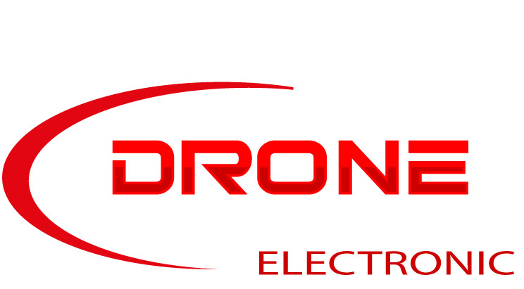 Drone Service Electronic Srl Logo negative